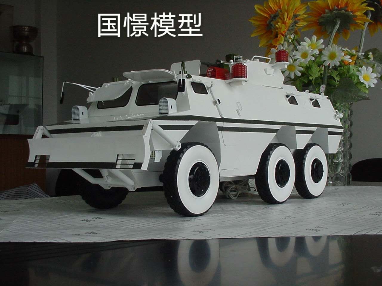 泰宁县军事模型